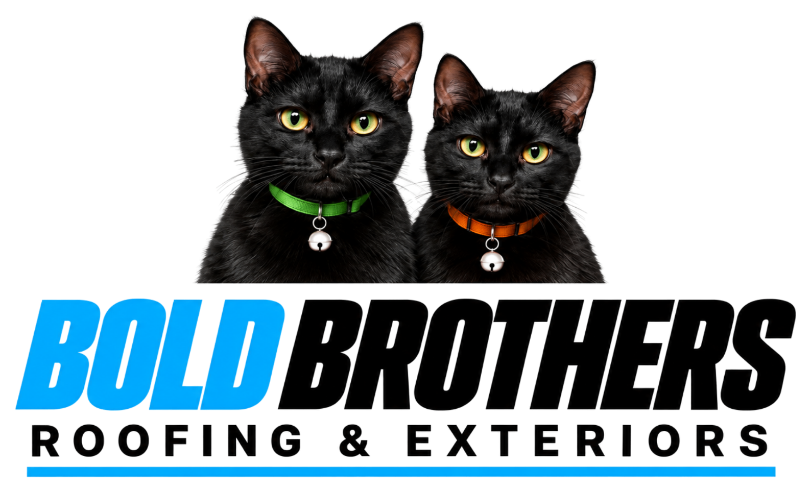 BOLD Brothers Roofing & Exteriors logo with Rexx and Binx