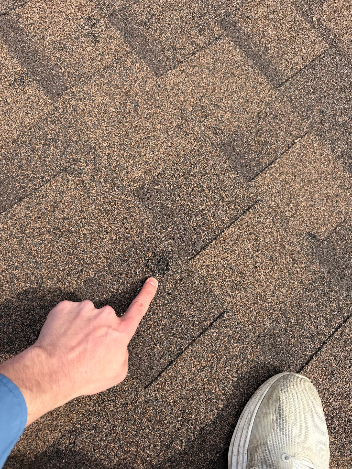 Real hail damage to a roof shingle with a finger pointing to the impact mark
